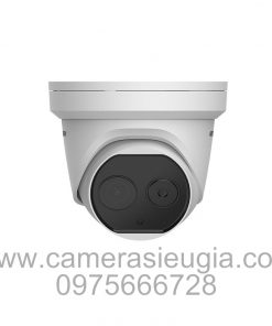 Camera HIKVISION DS-2TD1217B-6/PA(B)